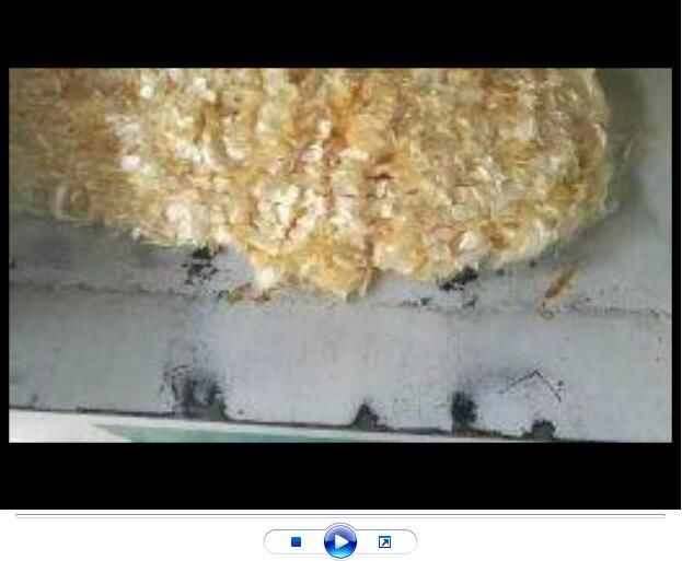 点击查看详细信息<br>标题：聚丙烯腈纤维生产中【视频】 阅读次数：2405
