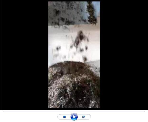 点击查看详细信息<br>标题：玄武岩纤维生产中【视频】 阅读次数：2294